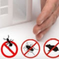 Why home pest control?
