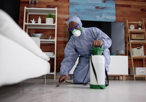 How long should you leave the house after spraying for bugs?
