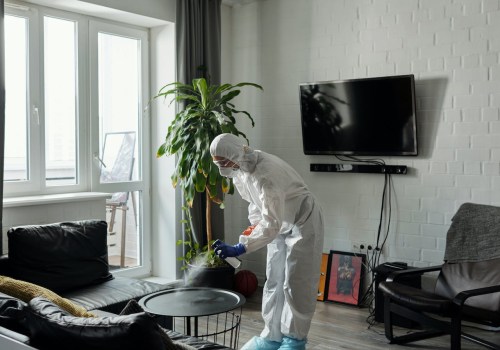 The Importance Of Pest Control For Indoor Spaces In Irvine, CA