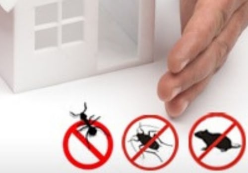 Why home pest control?